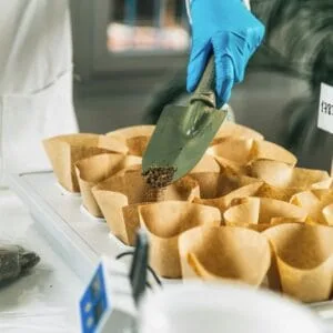 soil study process 7